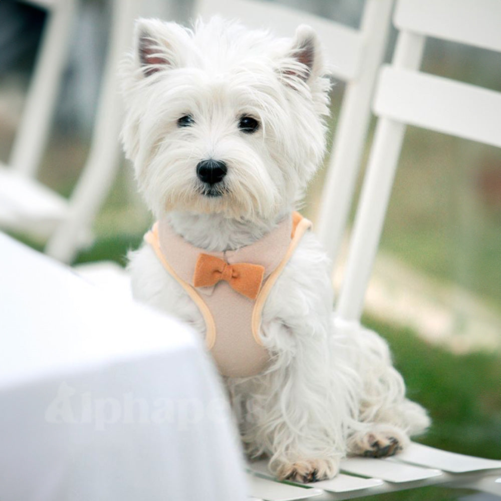 UNMIXED 倫敦學院風 寵物胸背帶+牽繩組 4種尺寸