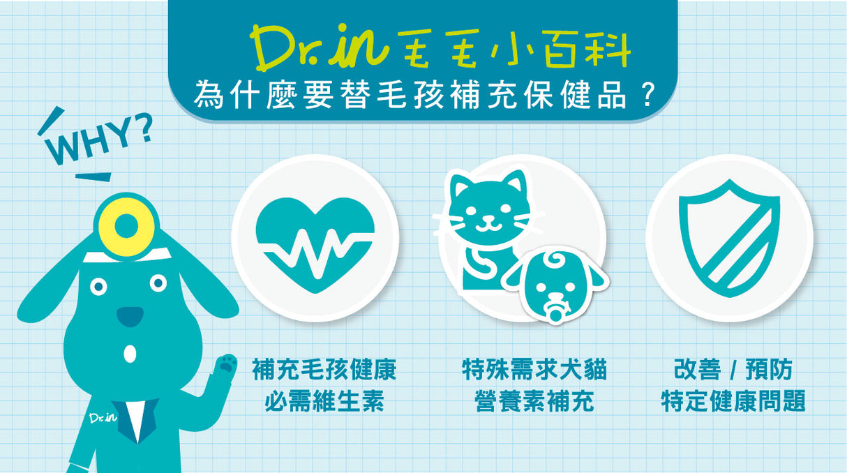 美國 IN-Plus 貓用離胺酸 | 貓用益生菌+牛磺酸 | 貓用蔓越莓泌尿安 整盒售