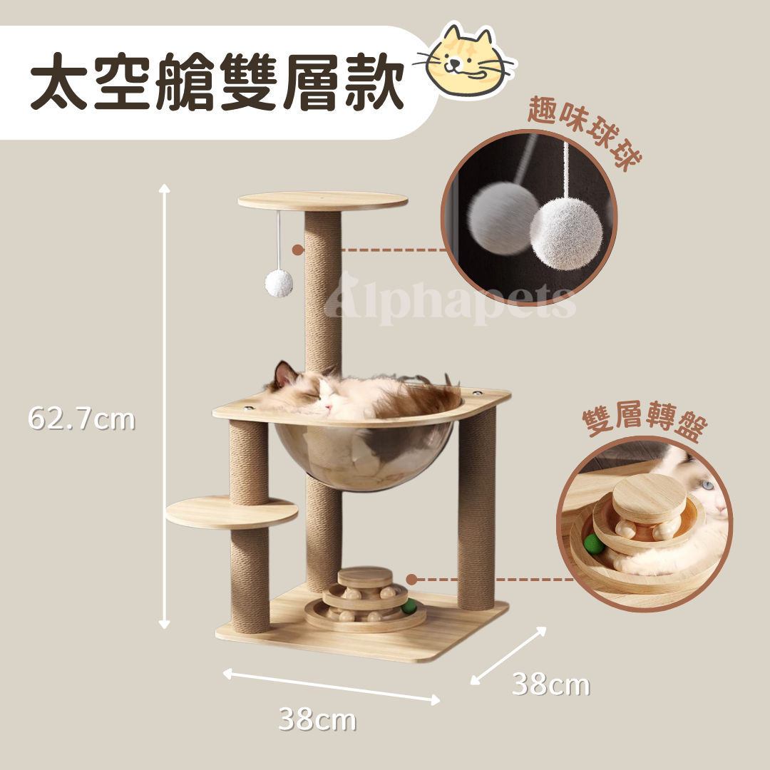 貓跳台 多種款式
