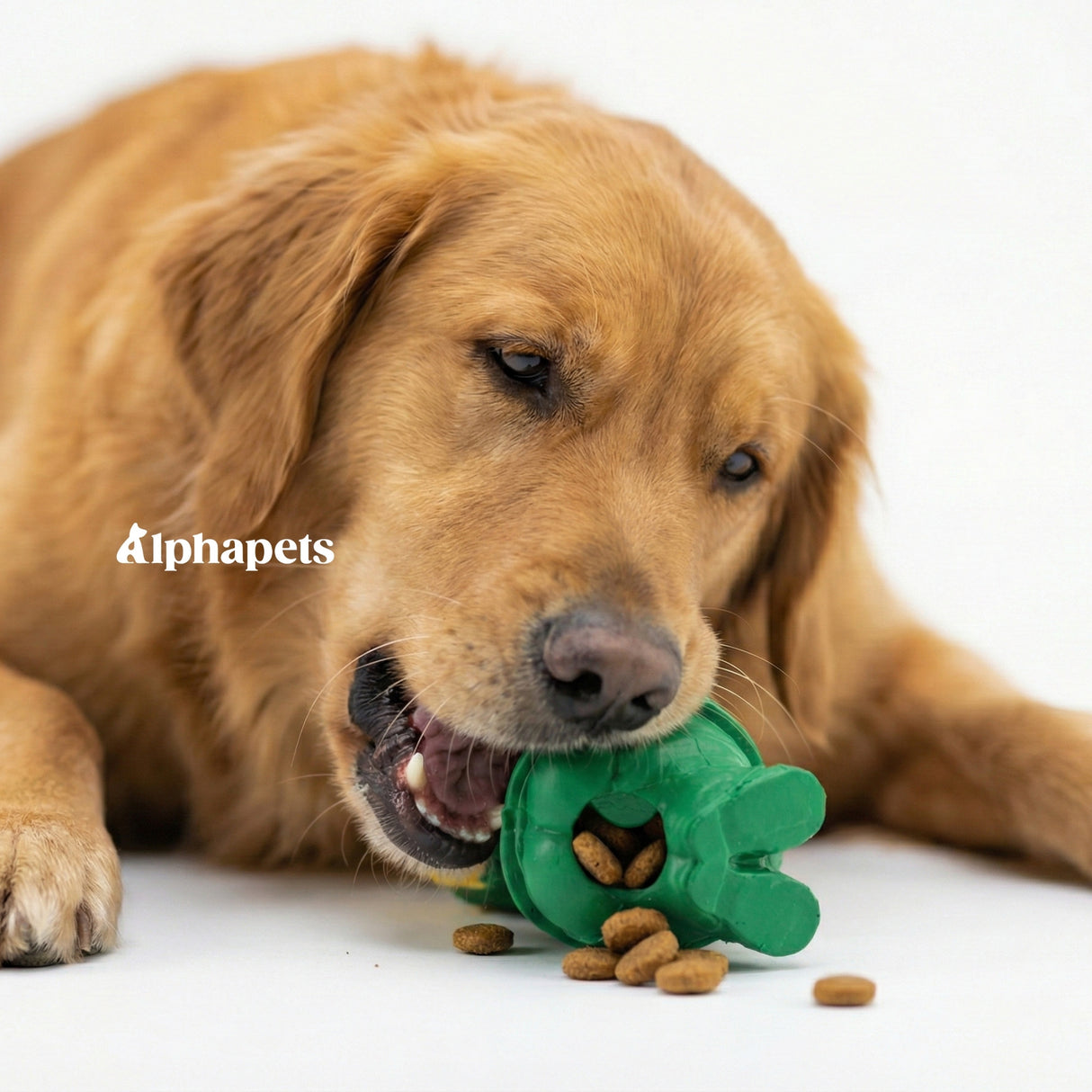 PETOPIA 咬不壞的玩具 磨牙玩具 川普