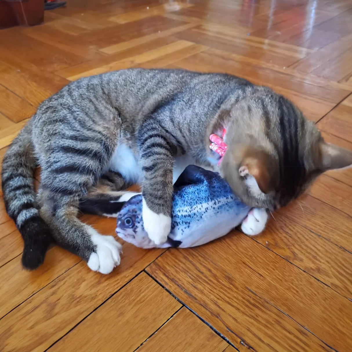 貓薄荷仿真電動魚玩具 4種魚 USB充電