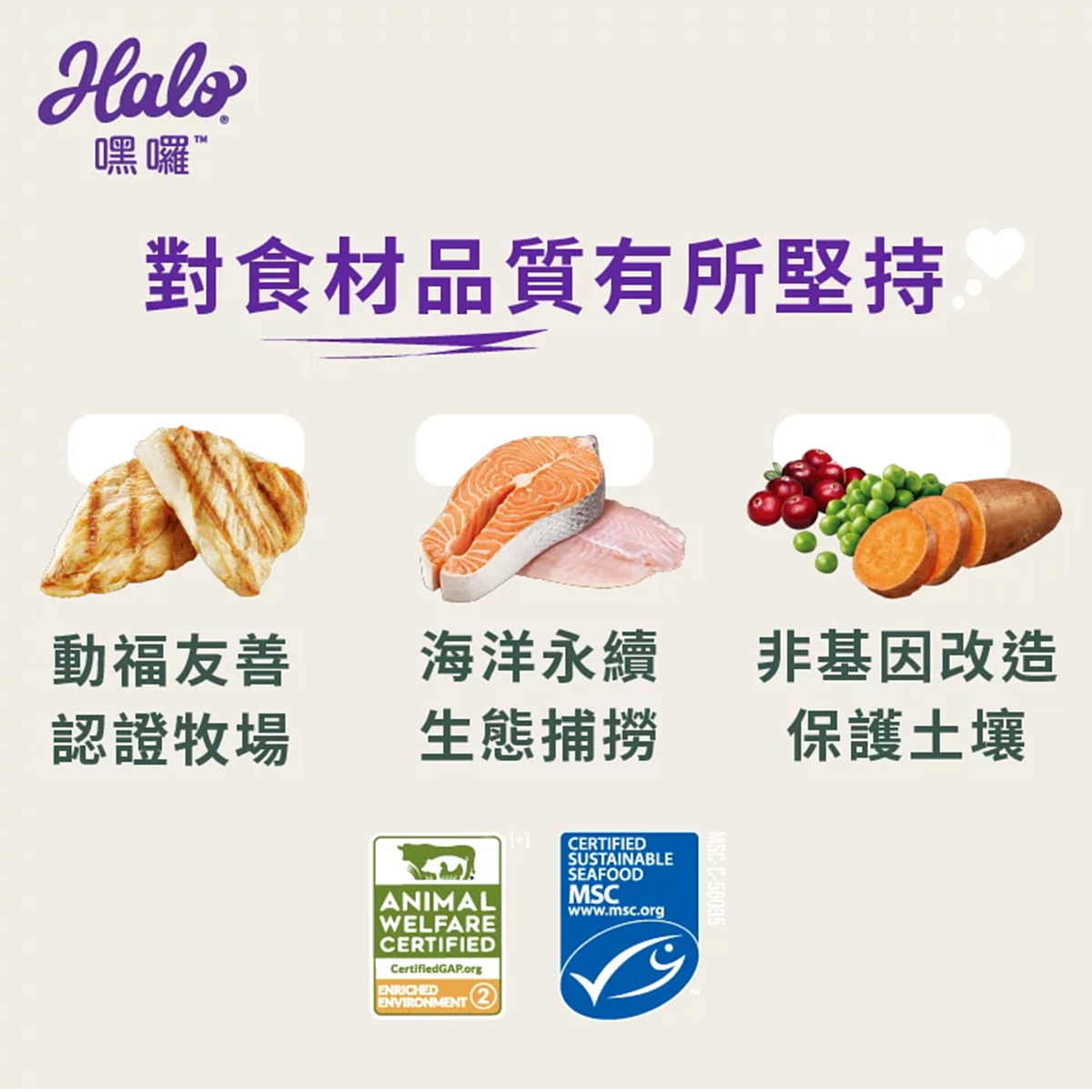 HALO嘿囉 無穀貓飼料 雞肉 鮭魚白魚 零肉粉 高消化率