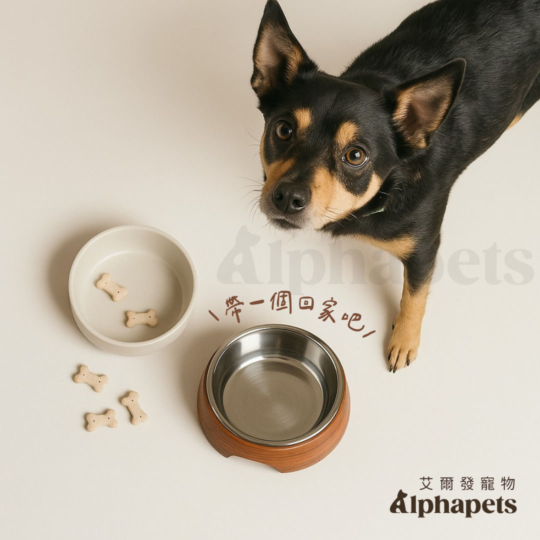 北歐風 寵物碗 (高碗/單碗/雙碗)