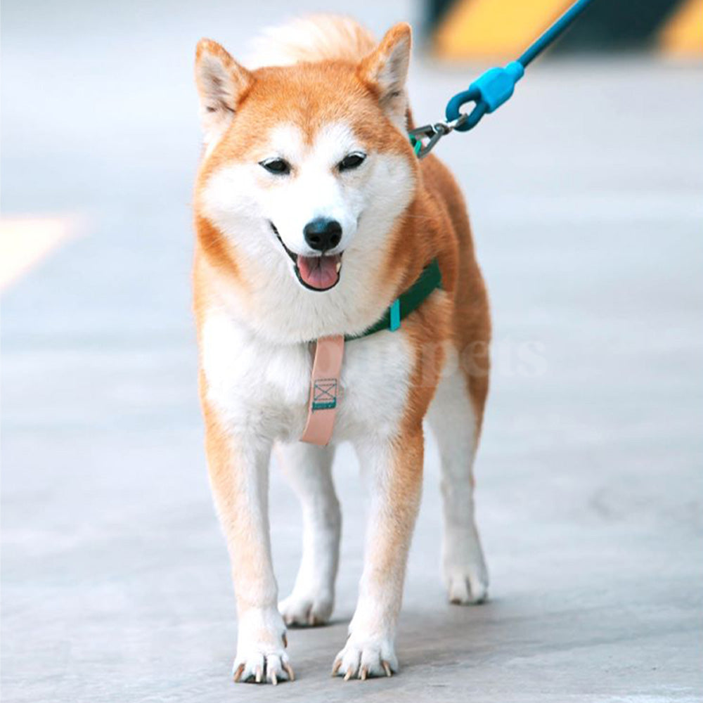 UNMIXED 活力MIX系列 PVC防水寵物外出牽繩 2種尺寸