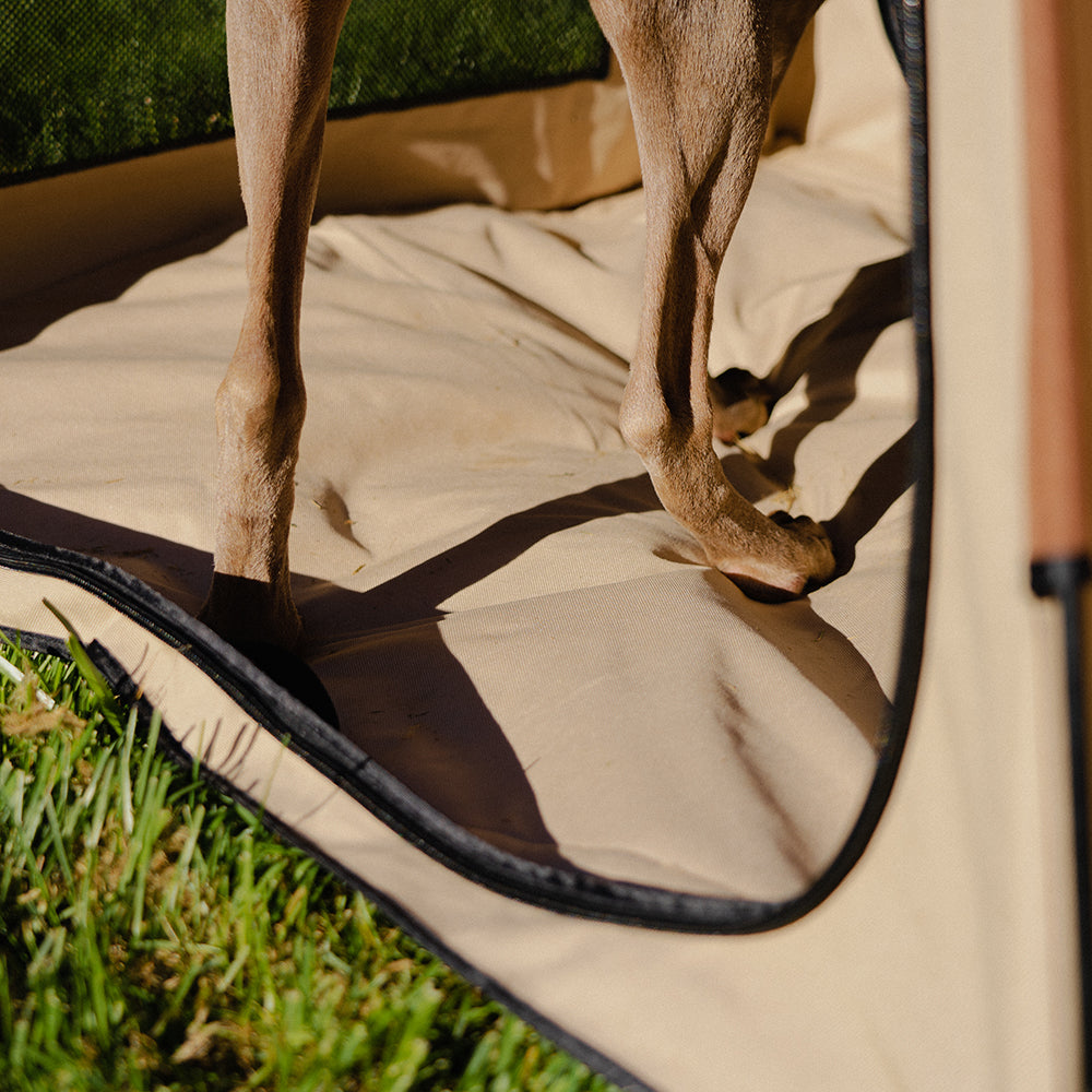 BlackDoggy 寵物戶外帳篷 防潑水 自動桿架 寵物窩