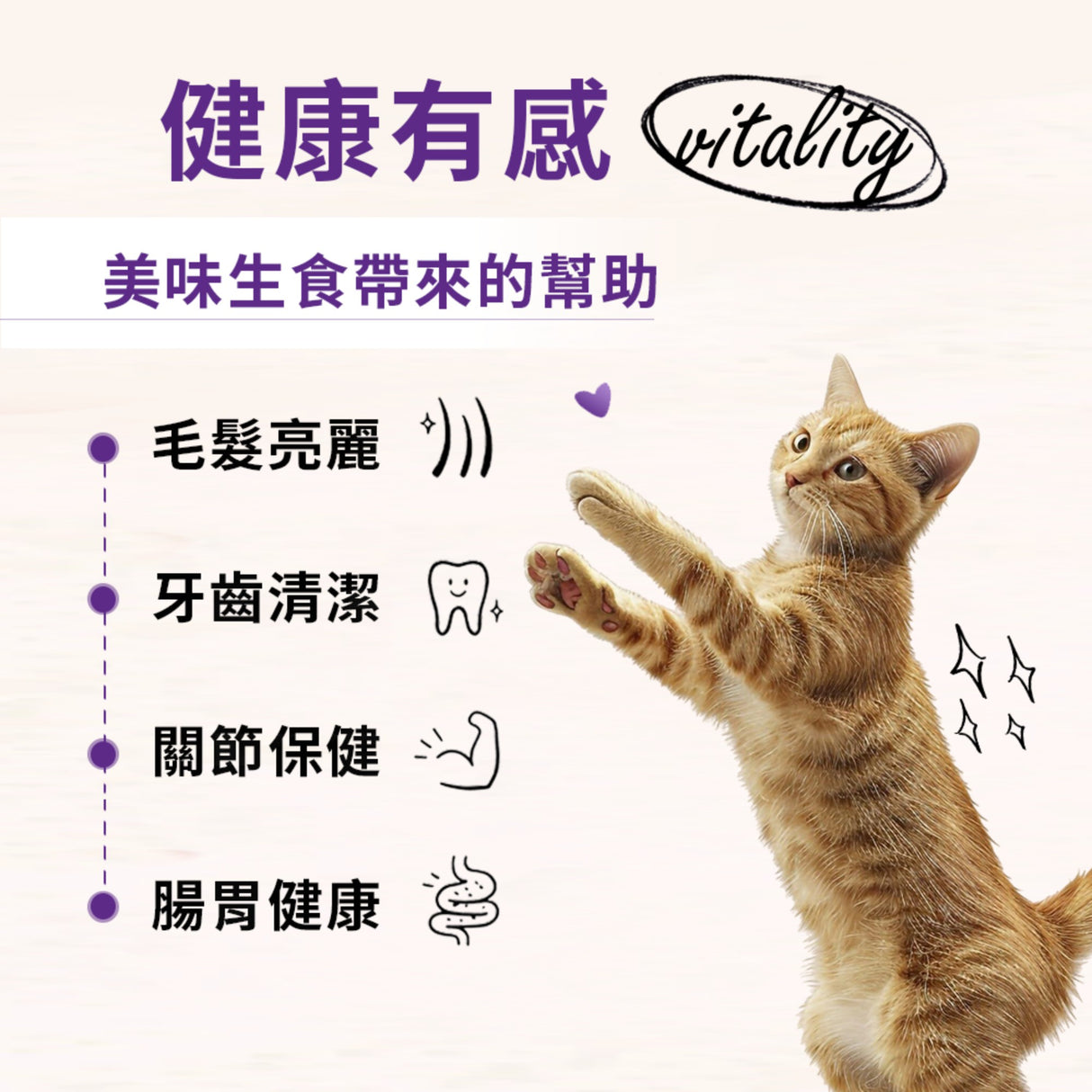 SC星益生趣 Stella & Chewy's 凍乾無穀貓糧2.5磅|生鮮鮭魚/三種魚
