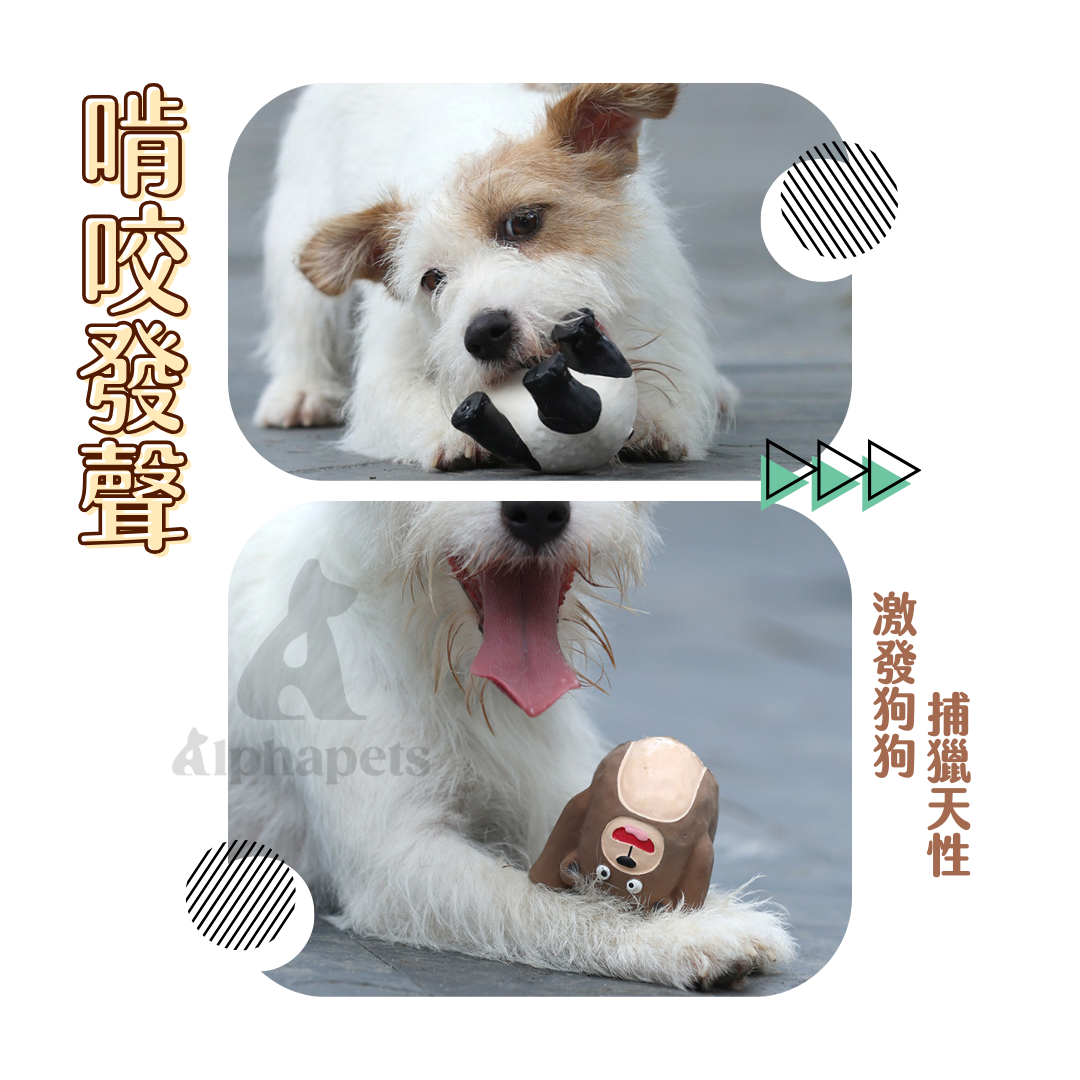 Q-MONSTER 下腰系列 乳膠玩具