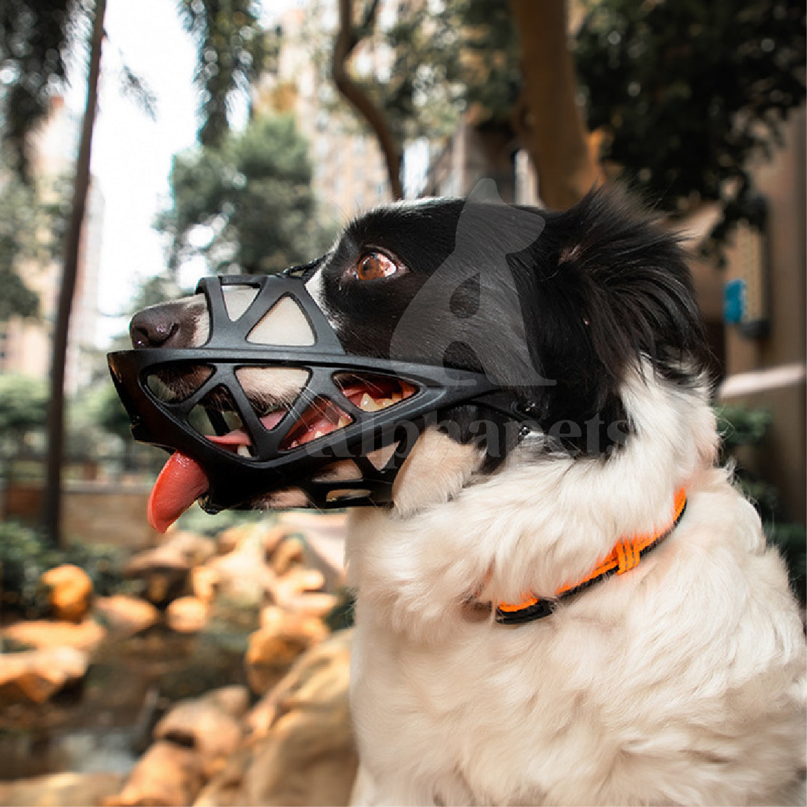 狗嘴套 寵物嘴套 有頭帶款 透氣可調節 3M反光織帶 S / M / L / XL