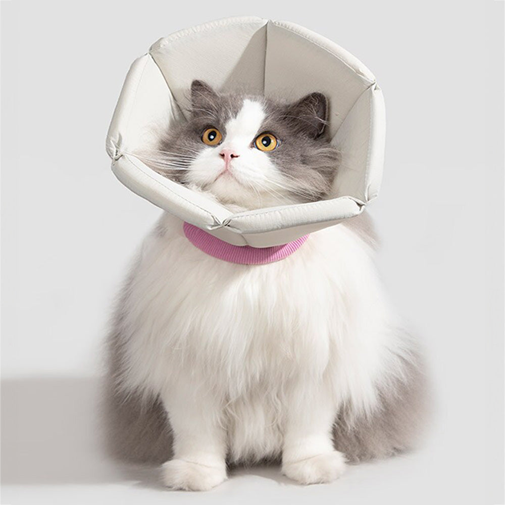 HiDREAM 海綿錐形伊麗莎白圈 防護頭套 寵物頭套 2色