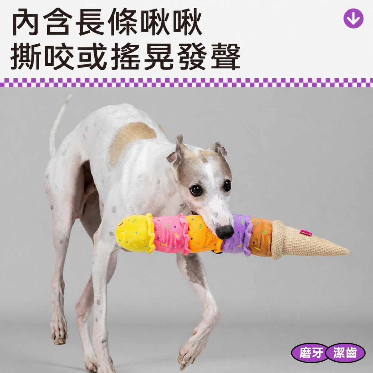 QMONSTER 五彩冰淇淋系列 發聲拔河毛絨狗狗啃咬磨牙益智玩具