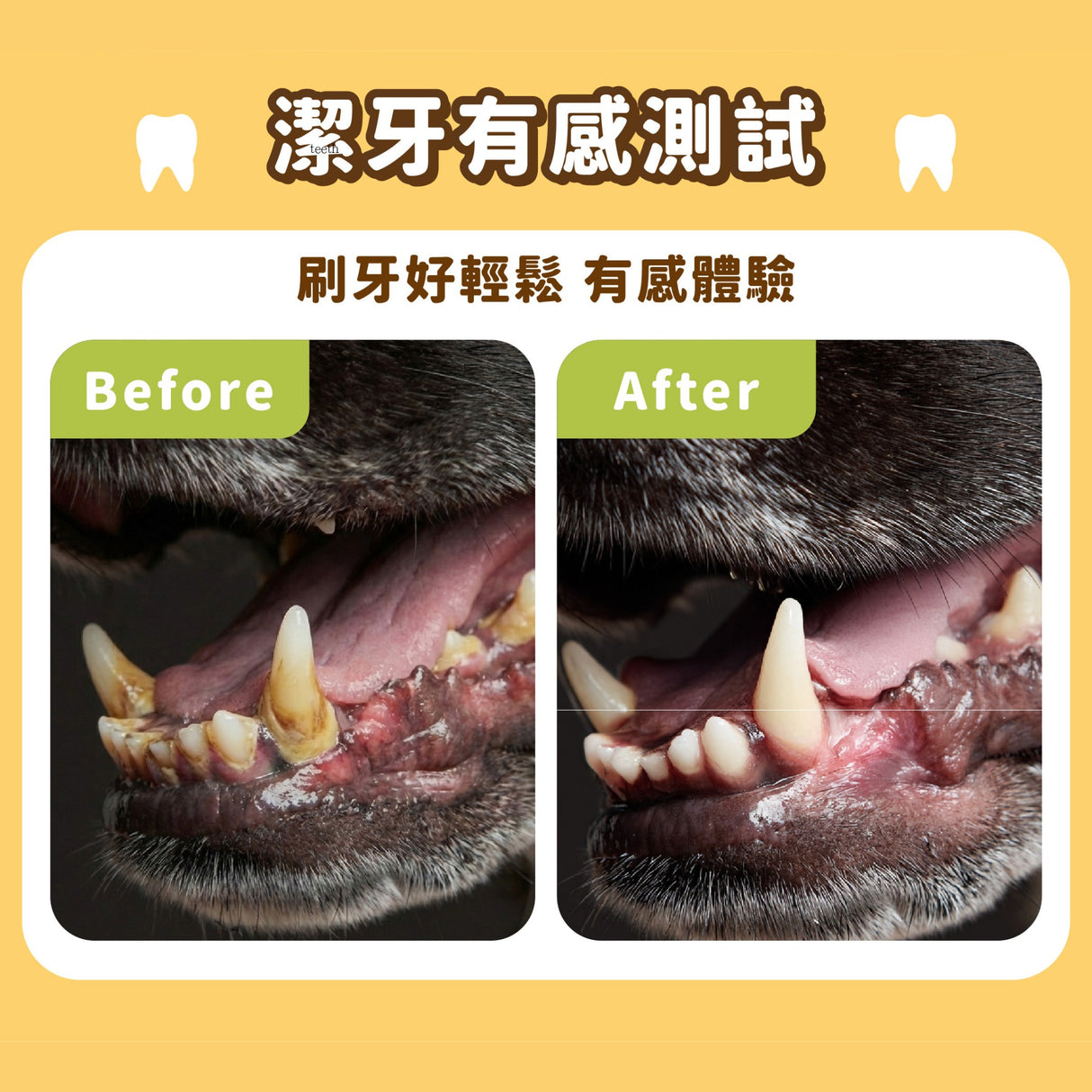 飼糧倉 狗狗保健潔牙棒 5支裝 5種口味