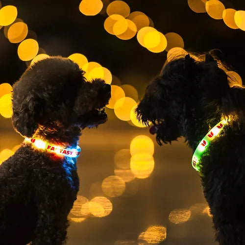 LaRoo 萊諾 森林發光圈 寵物發光項圈 防水 可充電 3色