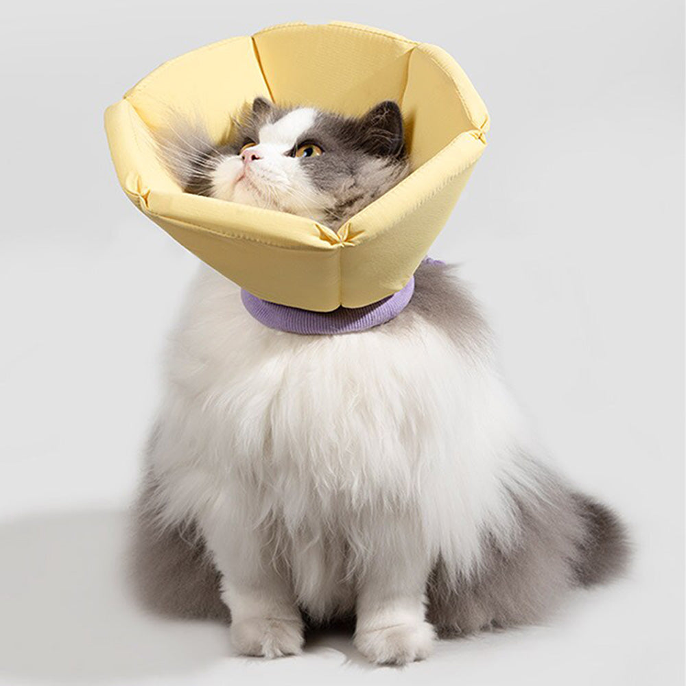 HiDREAM 海綿錐形伊麗莎白圈 防護頭套 寵物頭套 2色