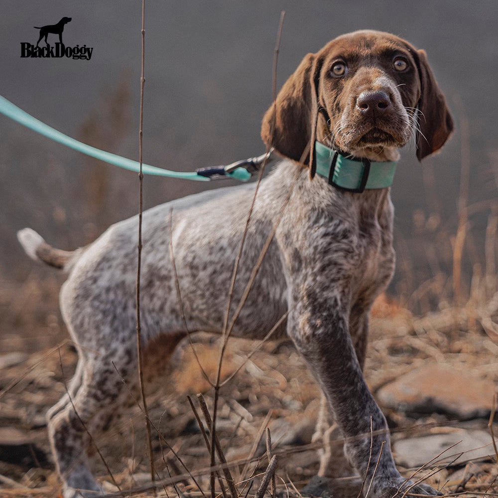BlackDoggy 等高線寵物外出防水項圈 / 牽繩
