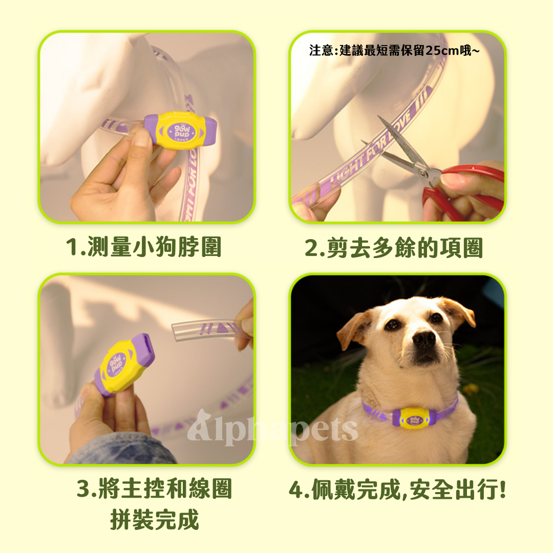 LaRoo萊諾 咔啦發光項圈 可剪裁 4色