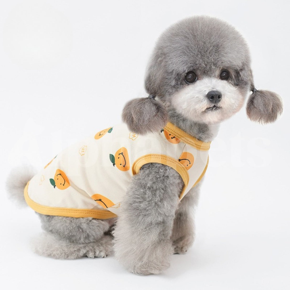 PETTRIP 西瓜.桔子滿版背心