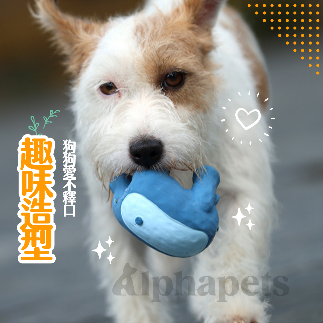 Q-MONSTER 下腰系列 乳膠玩具