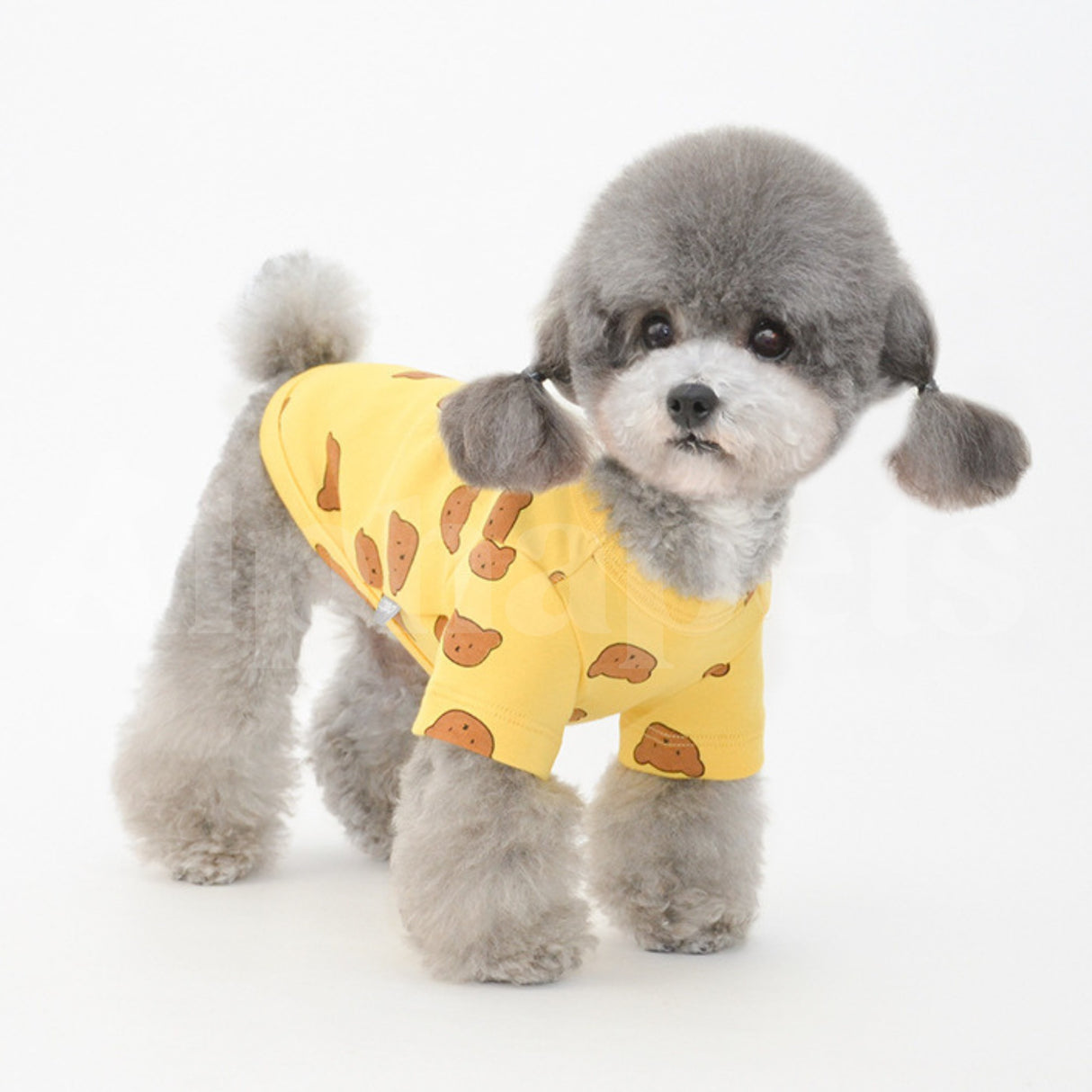 PETTRIP 小熊印花兩腳衣