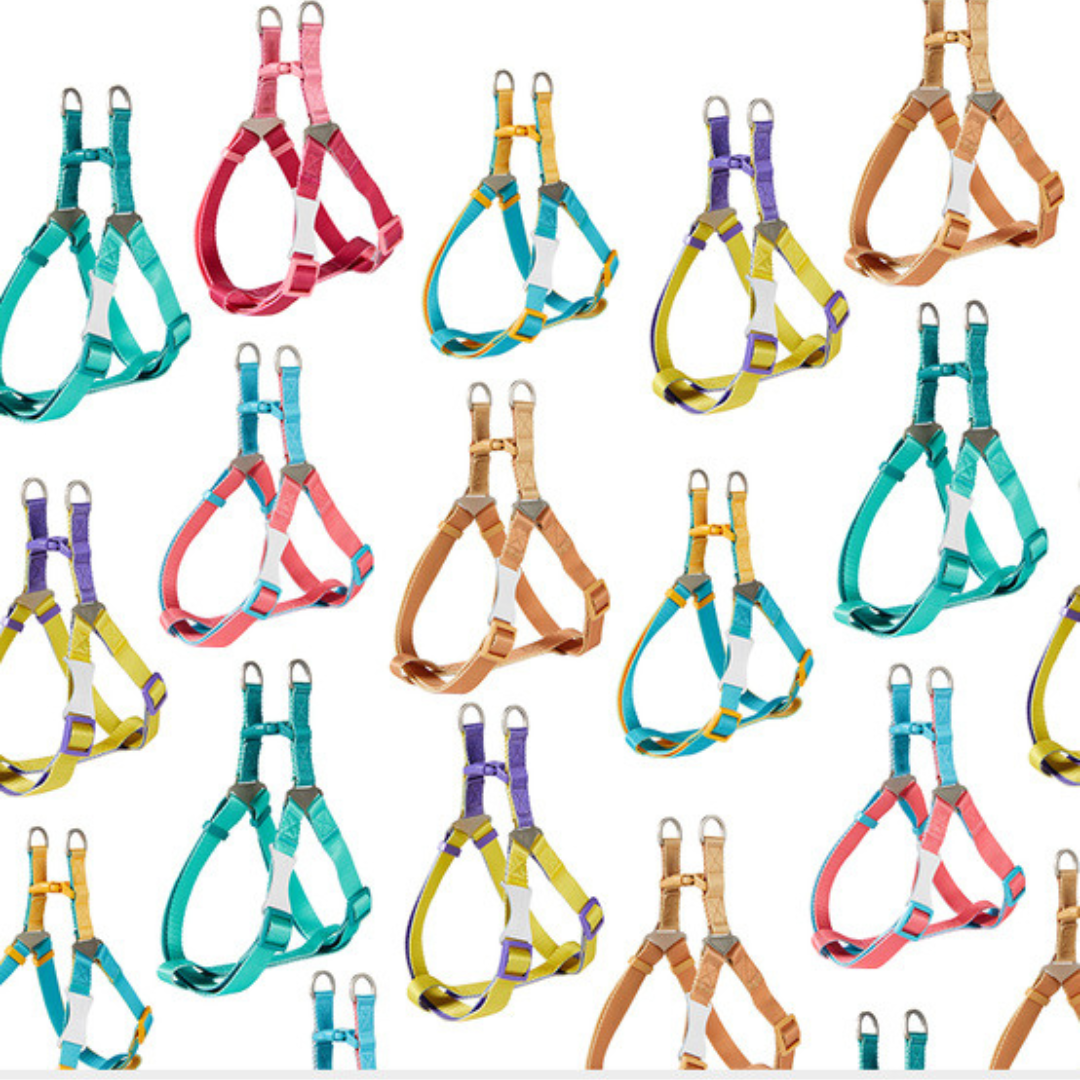 UNMIXED 撞色系列 糖果色寵物胸背帶 3種尺寸