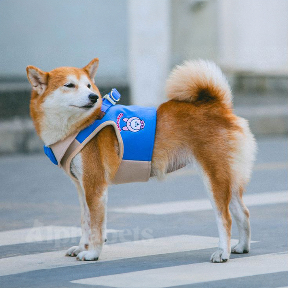 UNMIXED 倫敦學院風 寵物胸背帶+牽繩組 4種尺寸