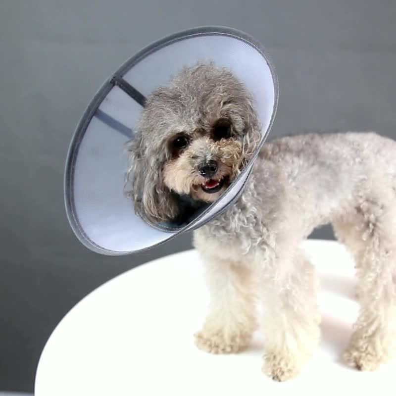 DogLemi 多樂米 鋪棉伊麗莎白圈 防舔咬頸圈 頭套 灰色 4種尺寸