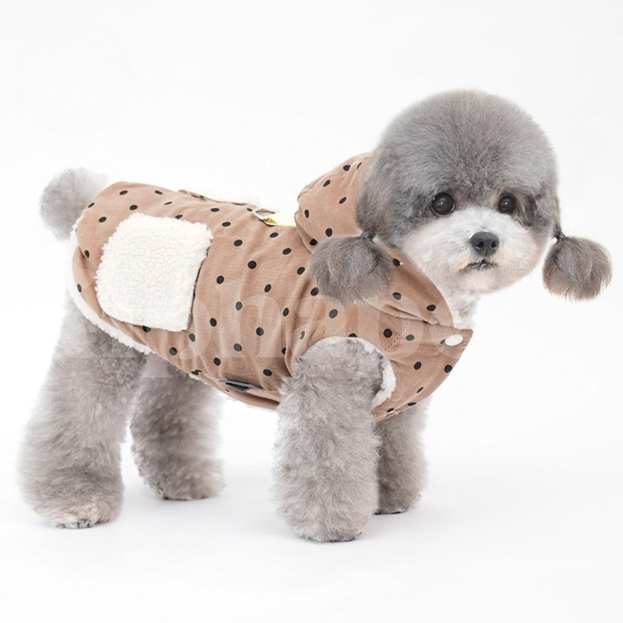 PETTRIP 圓點燈芯絨連帽棉衣