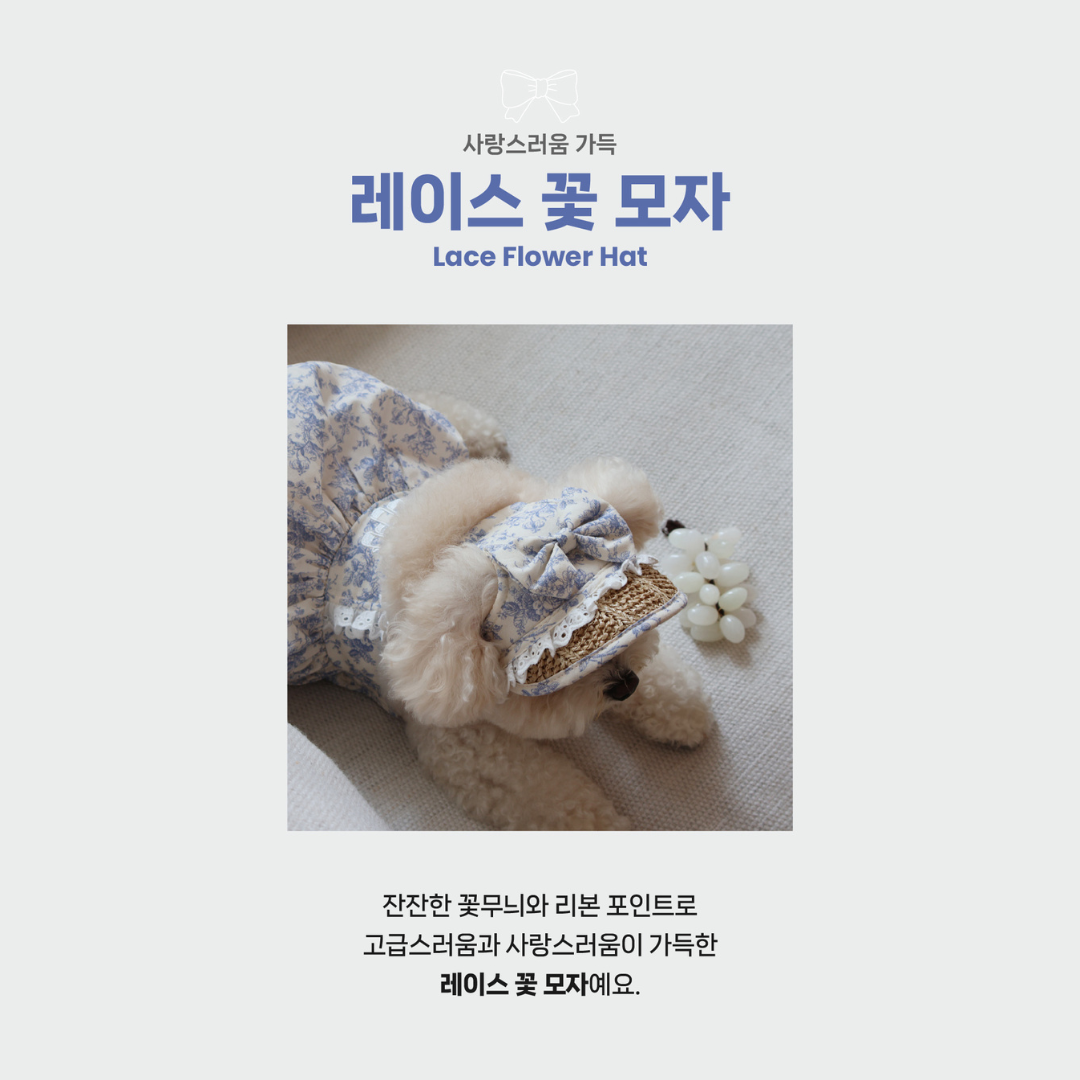 韓國MEANING 蕾絲蝴蝶結寵物帽