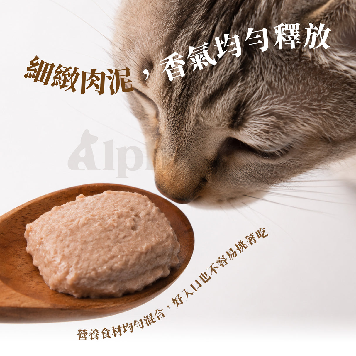 Eatmee 易特咪 Party Pate 肉派主食罐 5種口味 90g