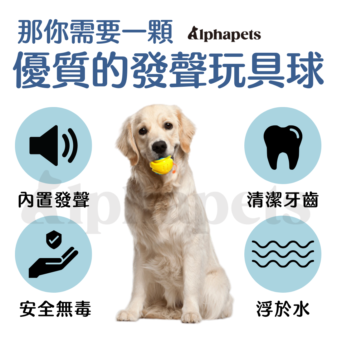 LaRoo 萊諾 假日系列 蹦蹦球 狗狗玩具球 寵物彈力球