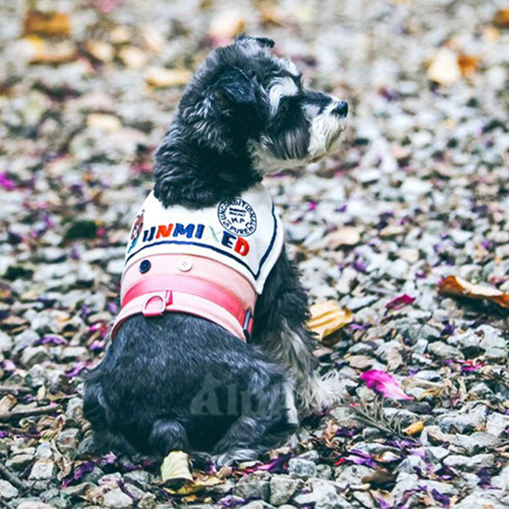 UNMIXED 你好!海軍領 寵物胸背帶+牽繩組 4種尺寸