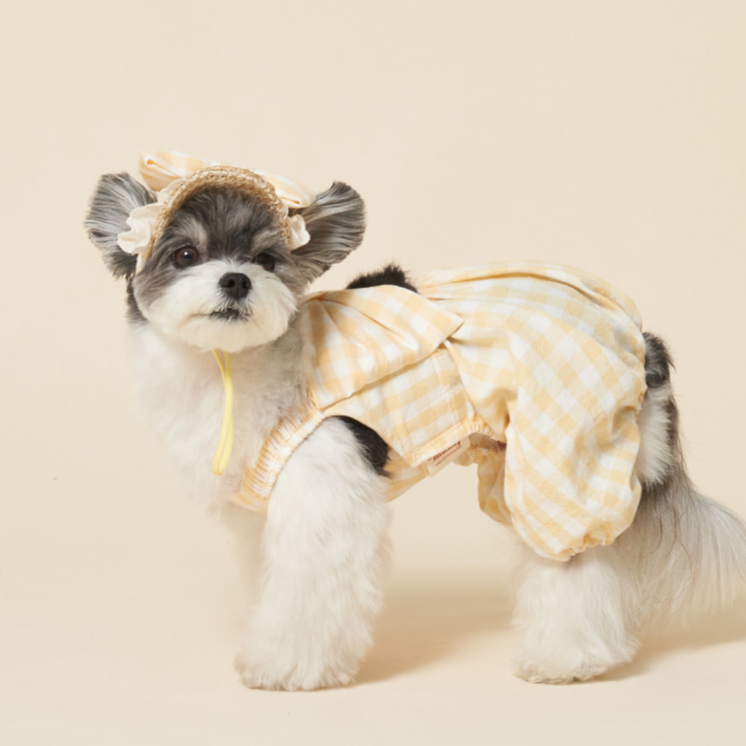 韓國MEANING 格紋蝴蝶結寵物帽 3種顏色