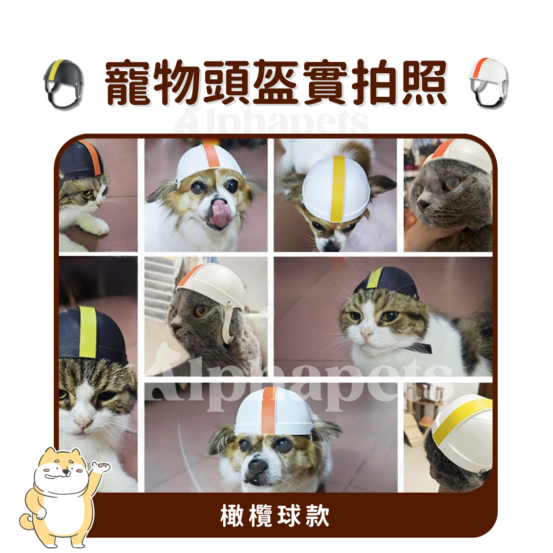 寵物頭盔