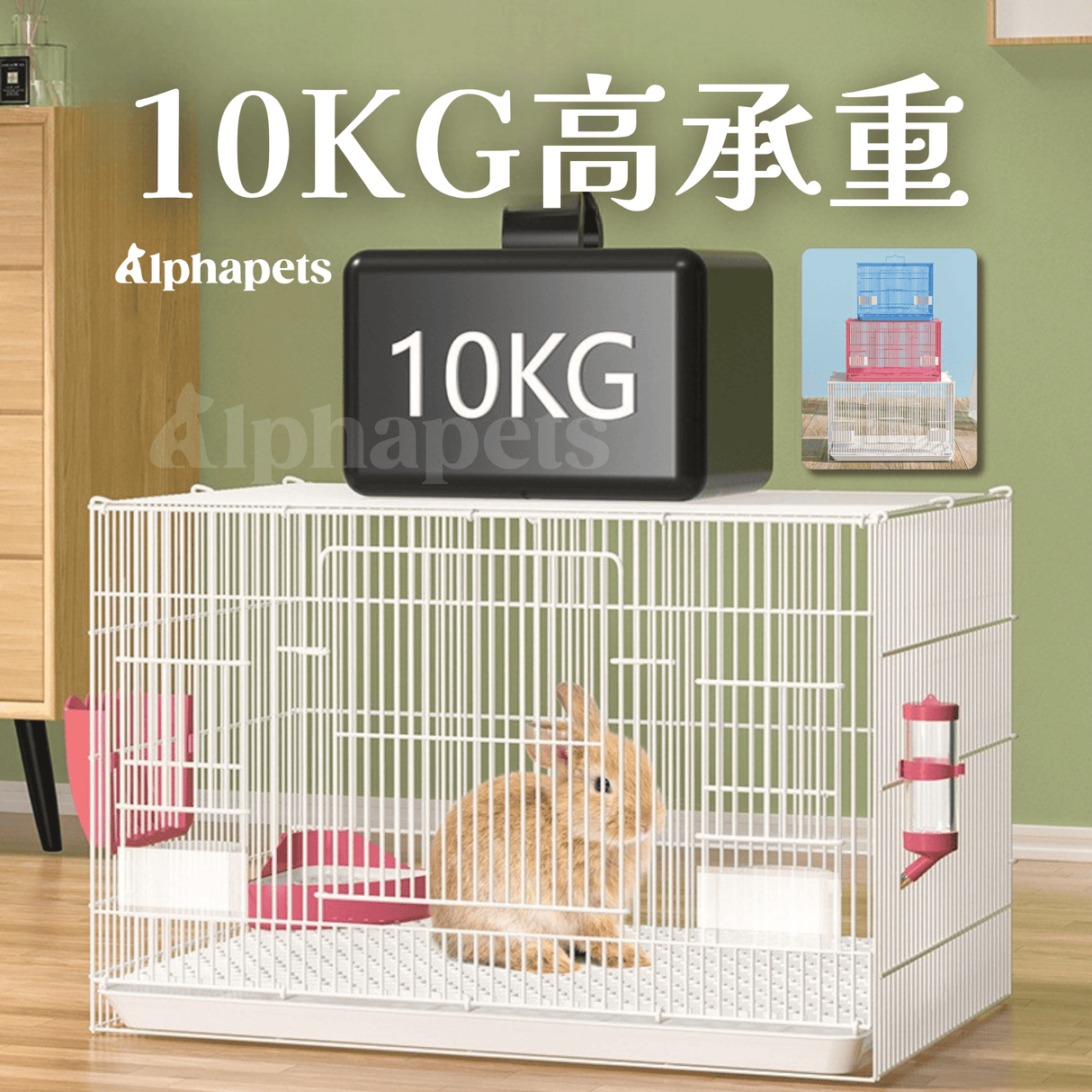 兔籠/小寵物籠 多種尺寸