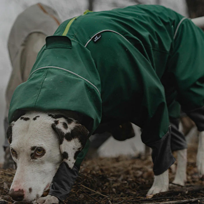 BlackDoggy 寵物戶外防風防潑水衝鋒雨衣 3色 多款尺寸 + 柯基專用款