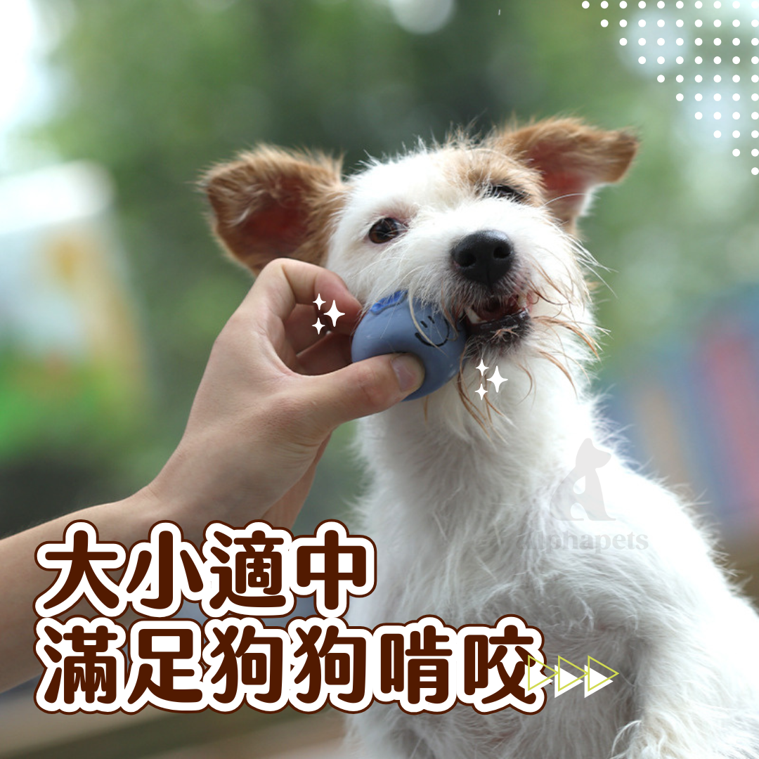 Q-MONSTER 水果系列 乳膠玩具