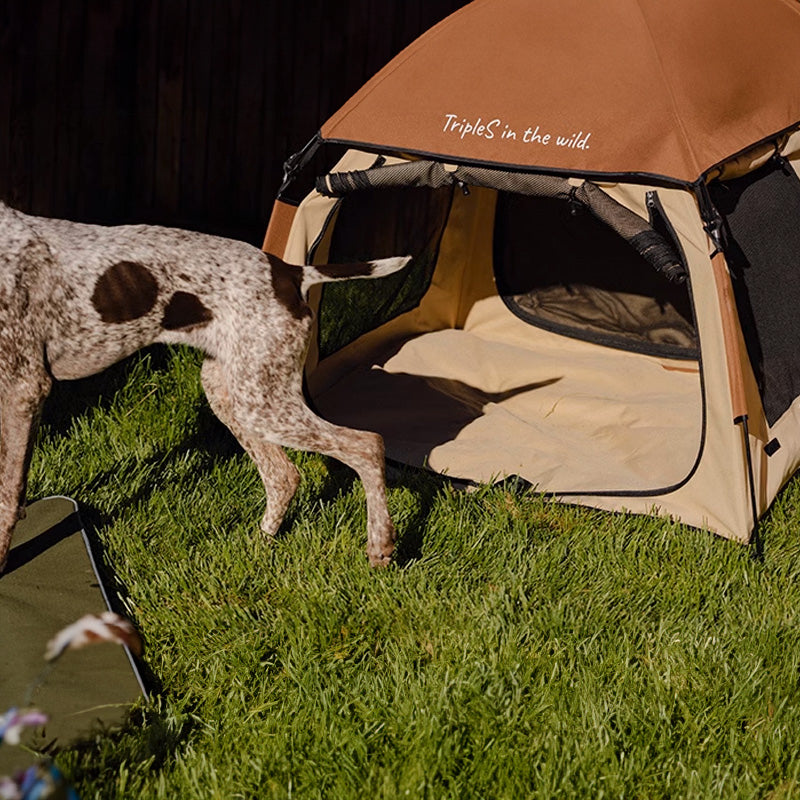 BlackDoggy 寵物戶外帳篷 防潑水 自動桿架 寵物窩