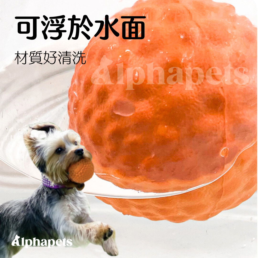 LaRoo 萊諾 假日系列 蹦蹦球 狗狗耐咬 彈力球玩具