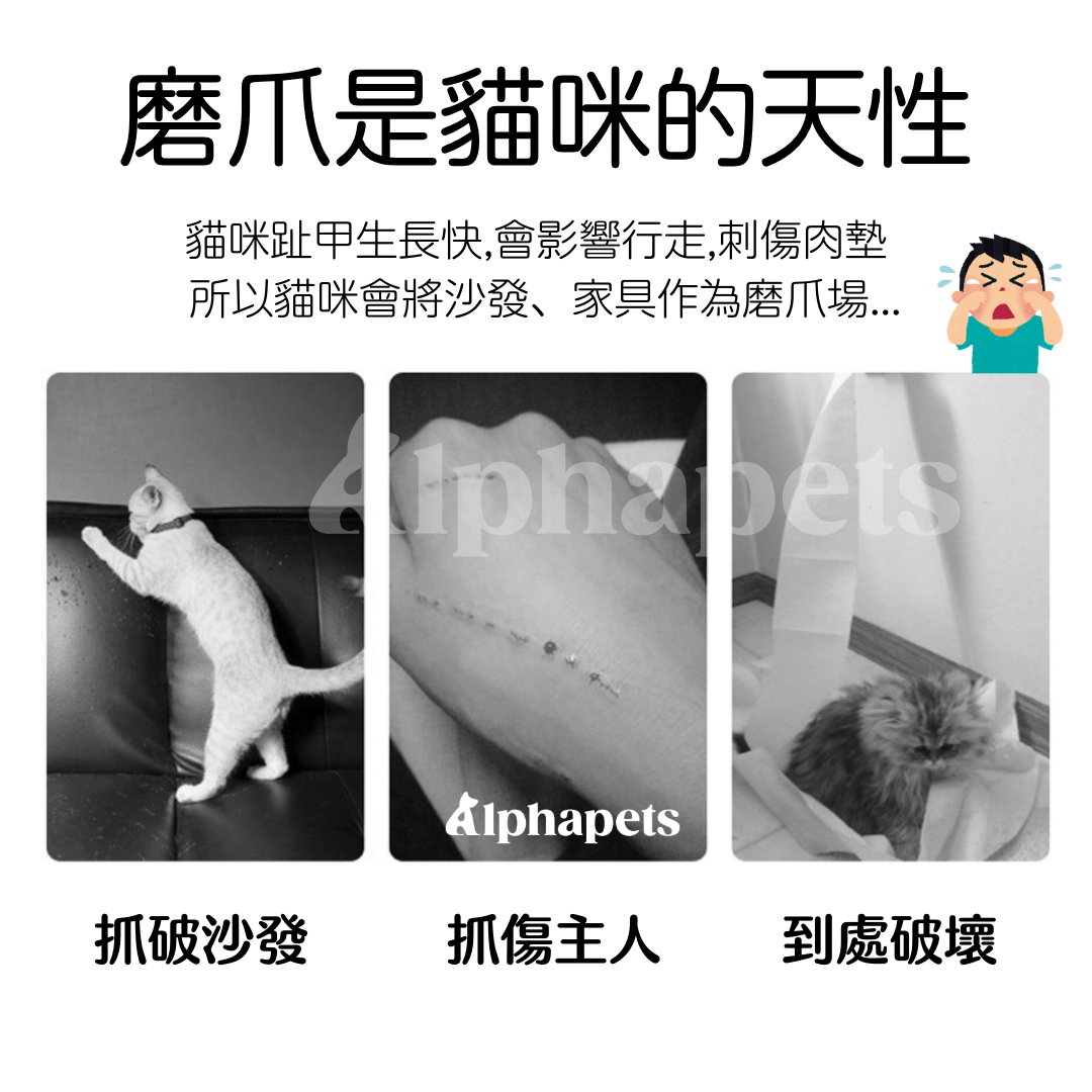 L型立式 貓抓板