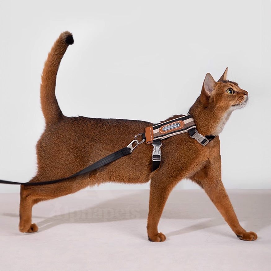 HiDREAM 貓咪條紋胸背牽繩套組 寵物牽繩 胸背帶