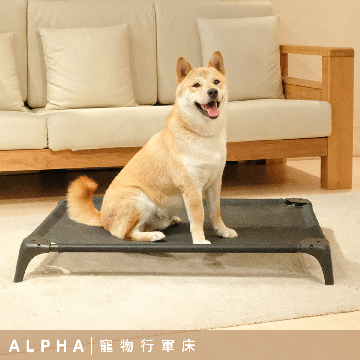 DOGSONG ALPHA 北歐風格寵物行軍床