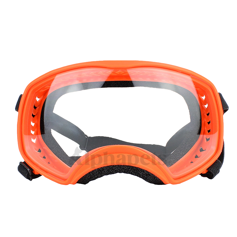 通用型 寵物大框眼鏡 寵物眼睛防護 寵物護目鏡