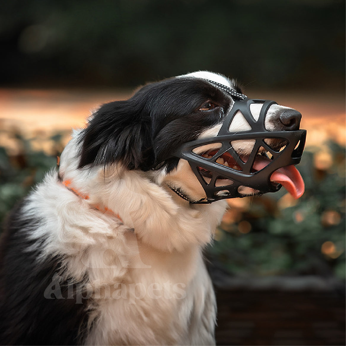 狗嘴套 寵物嘴套 有頭帶款 透氣可調節 3M反光織帶 S / M / L / XL