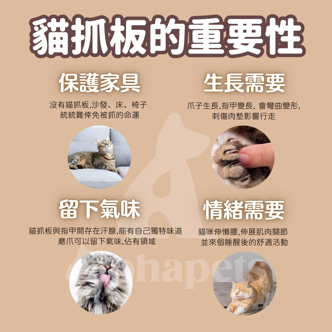 L型立式 貓抓板