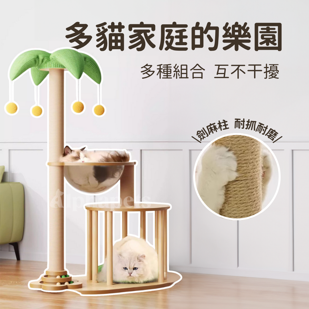 貓跳台 多種款式