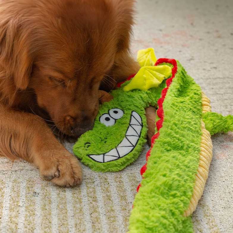 Q-MONSTER 響紙龍發聲玩具 毛絨玩具 寵物玩具