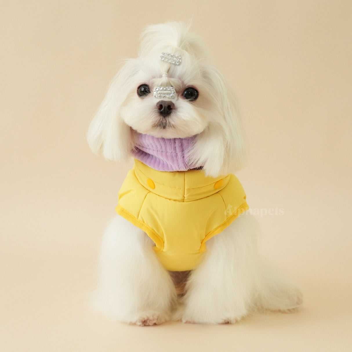 PETTRIP 圍脖可拆扣型棉衣