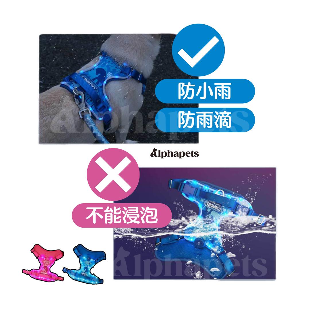 LaRoo 萊諾 魔幻森林發光胸背帶 寵物發光項圈 防水 可切換發光模式