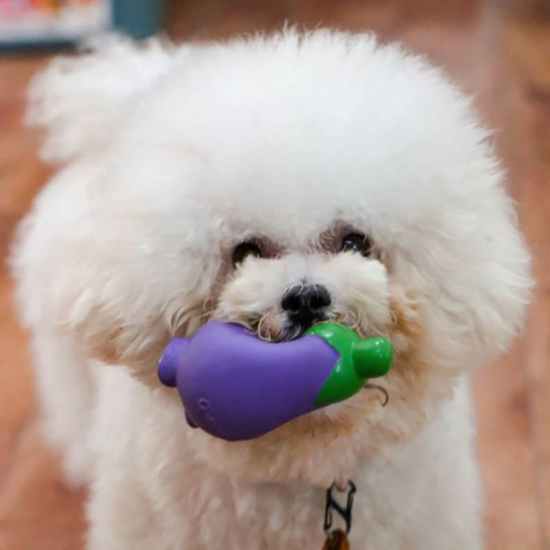 Q-MONSTER 薑蔥蒜家族 小小蔬菜家族 發聲玩具