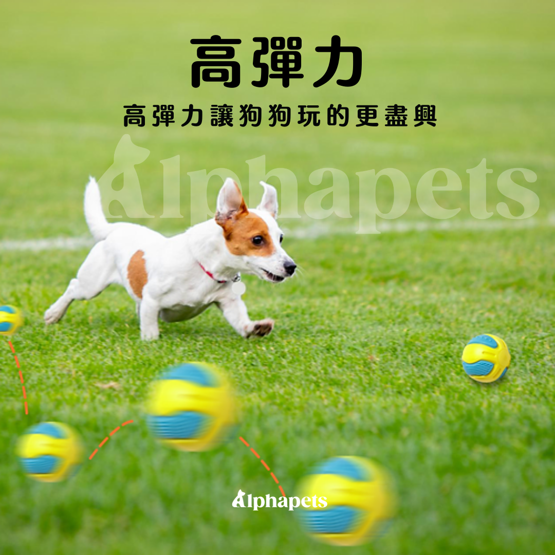 LaRoo 萊諾 假日系列 蹦蹦球 狗狗玩具球 寵物彈力球