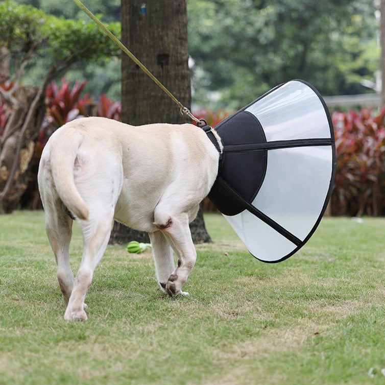 DogLemi 多樂米 可折疊伊麗莎白圈 防舔咬頸圈 頭套 4種尺寸